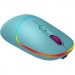 Canyon Мишка Canyon MW-22 Dual Band RGB Wireless Dark Cyan (CNS-CMSW22DC)