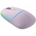Canyon Мишка Canyon MW-22 Dual Band RGB Wireless Pearl Rose (CNS-CMSW22PR)