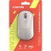 Canyon Мишка Canyon MW-22 Dual Band RGB Wireless Rice (CNS-CMSW22RC)