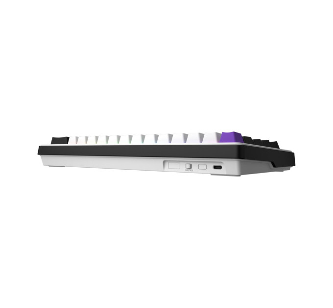 Hator Клавіатура Hator Hellyberry HK60 Mechanical Linear RGB USB UA Black/White (HK60)
