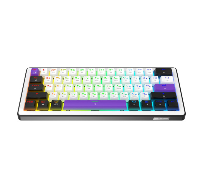 Hator Клавіатура Hator Hellyberry HK60 Mechanical Linear RGB Wireless/Bluetooth/USB UA Black/White (HK60_wireless)