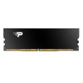Patriot Модуль пам'яті для комп'ютера DDR5 16GB 5600 MHz Signature Line Premium Patriot (PSP516G560081H1)