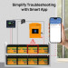 Eco-Worthy Батарея LiFePo4 Eco-Worthy 12.8V 100Ah LCD (Eco-Worthy-12100bt)