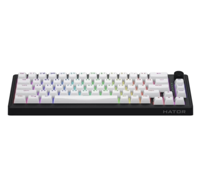 Hator Клавіатура Hator Skyfall 65 MAG ULTRA 8K Aurum Ice RGB USB UA Black/White (HTK1860UA)