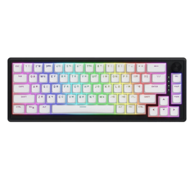 Hator Клавіатура Hator Skyfall 65 MAG ULTRA 8K Aurum Ice RGB USB UA Black/White (HTK1860UA)