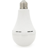 Ліхтар Almina DL-2030 30W, 2700Лм, 6400K (DL-2030)