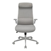 Крісло для геймерів Cougar Stryder White