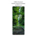 BeCover Скло захисне BeCover EDGE Motorola Edge 60 Pro Black (714771)