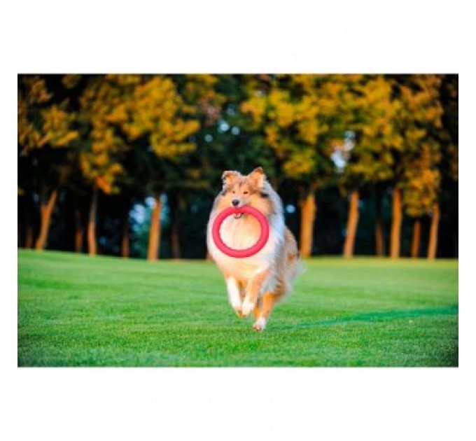 Іграшка для собак Collar PitchDog Кільце для апортування 17 см рожеве (62367)