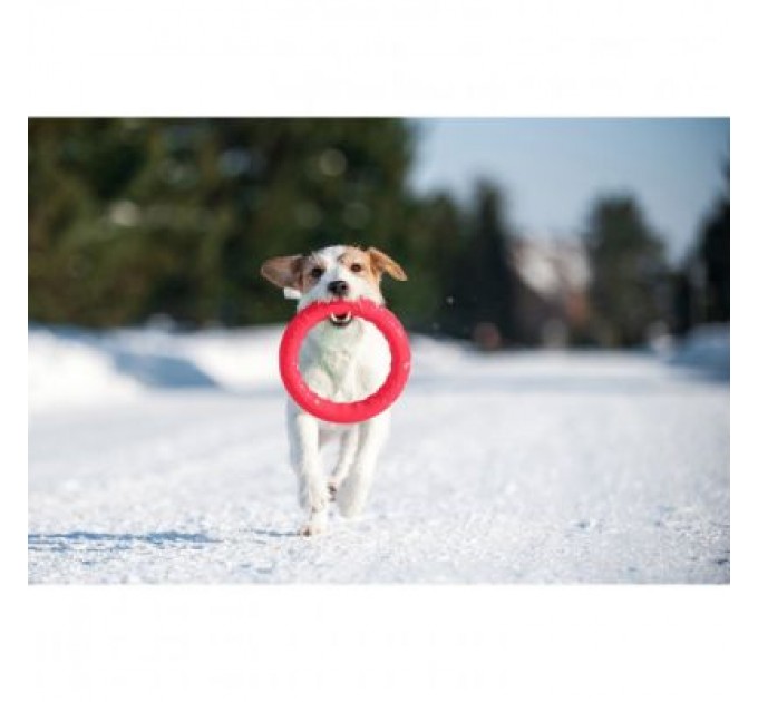 Іграшка для собак Collar PitchDog Кільце для апортування 17 см рожеве (62367)