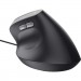 Trust Мишка Trust Bayo II Ergonomic USB Black (25144)