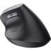 Trust Мишка Trust Bayo 2 Ergonomic Wireless/USB-A Black (25145)