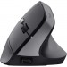 Trust Мишка Trust Bayo 2 Ergonomic Wireless/USB-A Black (25145)