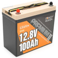 Power Queen Батарея LiFePo4 Power Queen 12.8V 100Ah Mini (P12V100-PREM-16-A60-DE)