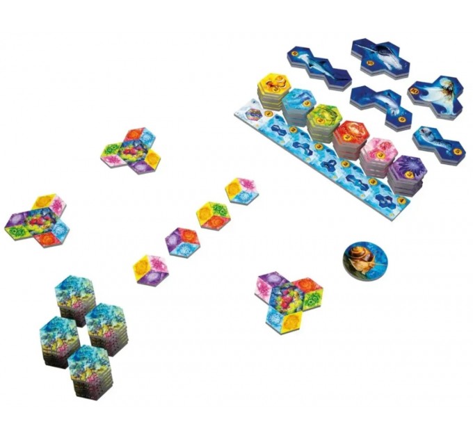 Настільна гра Lord of Boards Aqua Океанське біорізноманіття (LOB2331UA)