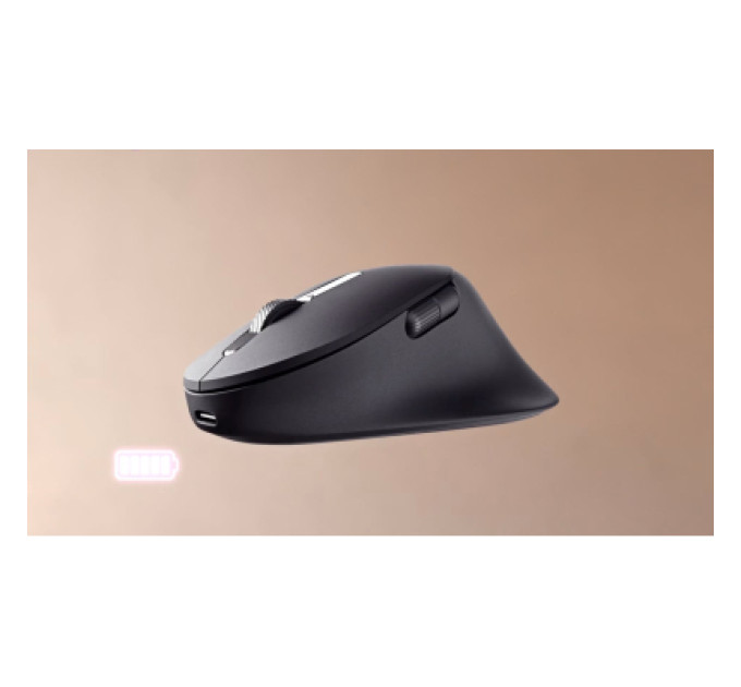 Dell Мишка Dell Premier MS900 Wireless/Bluetooth Graffit (570-BBCB)