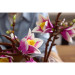 LEGO Конструктор LEGO Botanicals Magnolia Branches (11510)