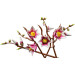 LEGO Конструктор LEGO Botanicals Magnolia Branches (11510)