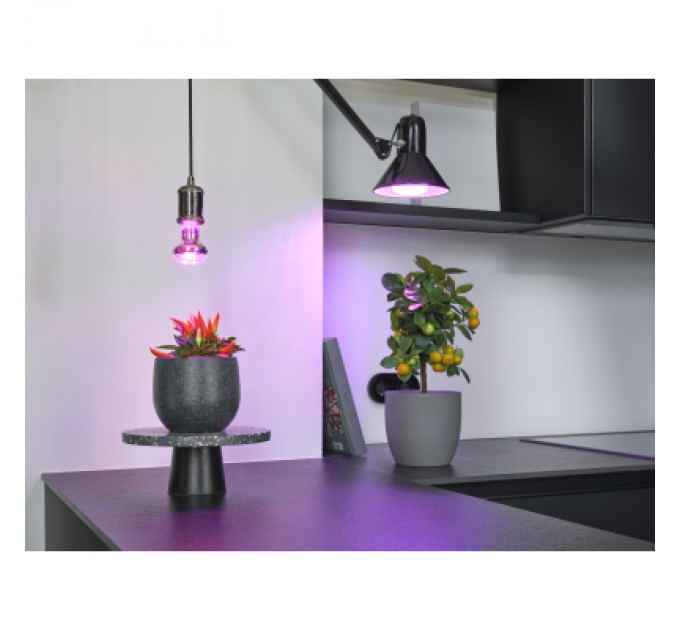 Лампочка Osram LED T60 GROW 10W CL 230V FR E27 (4058075845787)