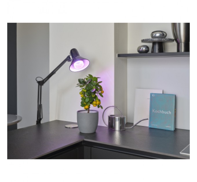 Лампочка Osram LED T80 GROW 20W CL 230V FR E27 (4058075845800)