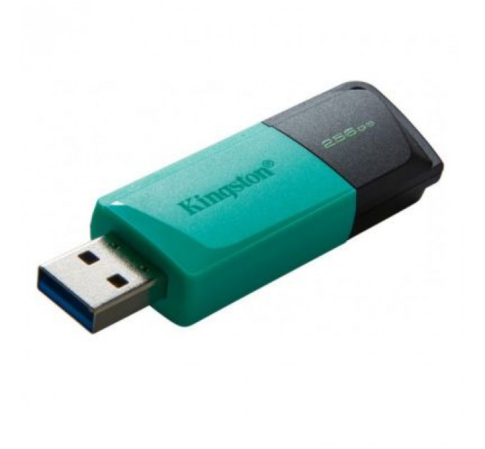 USB флеш накопичувач Kingston 256GB DataTraveler Exodia M USB 3.2 (DTXM/256GB)
