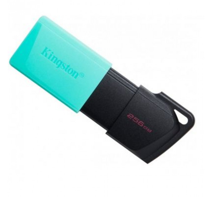 USB флеш накопичувач Kingston 256GB DataTraveler Exodia M USB 3.2 (DTXM/256GB)