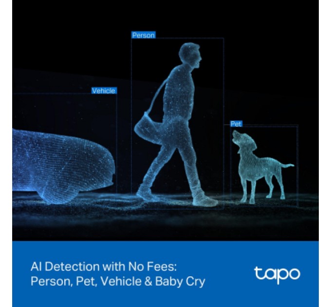 Камера відеоспостереження TP-Link TAPO-C246D