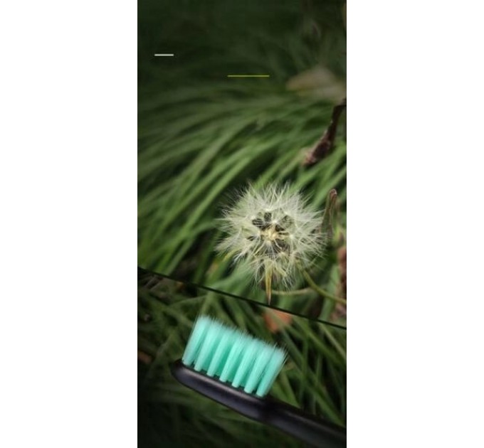 Зубна електрощітка Enchen Aurora T2 Black