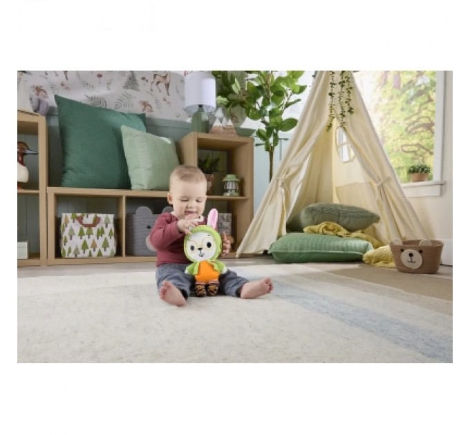 Брязкальце Fisher-Price Зайчик-обіймашка з прорізувачем (JLB87)