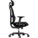 1stPlayer Крісло для геймерів 1stPlayer Ergo Aero