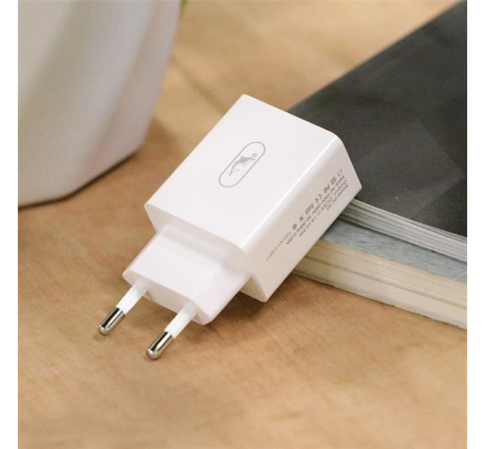 SkyDolphin Зарядний пристрій SkyDolphin SC30V (2USB, 2.1A) White (MZP-000114) + кабель microUSB