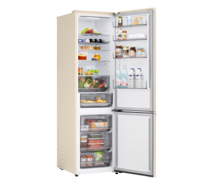 Холодильник LG GC-B509EETM