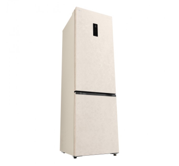 Холодильник LG GC-B509EETM