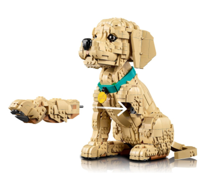 LEGO Конструктор LEGO Icons Цуценя золотистого ретривера (11384)