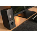 2E Акустична система 2E PCS202 Black (2E-PCS202BK)
