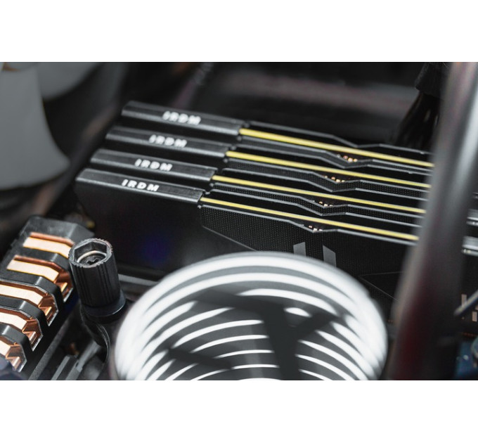 Goodram Модуль пам`ятi DDR5 16GB/6000 Goodram IRDM Black (IR-6000D564L36S/16G)