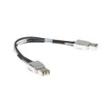 CISCO Switching Кабель Cisco 50cm Type 1 Stacking