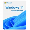 Операційна система Microsoft Windows 11 IoT Enterprise LTSC 2024 Perpetual, Commercial, OneTime (DG7GMGF0PP49_0001)