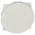 Legrand Furniture Заглушка Legrand Celiane, білий
