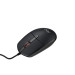 AOC Комплект AOC KM170B USB UA Black (KM170B/97)