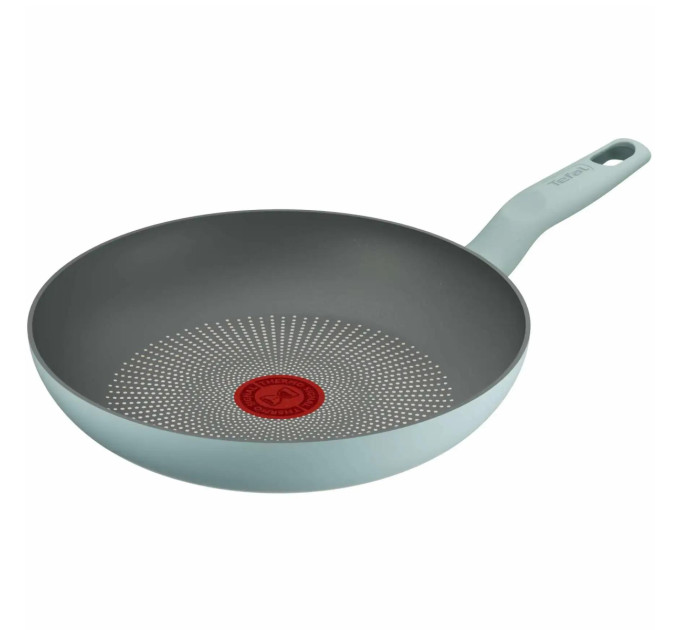 Tefal Kitchenware Сковорода Tefal Halo EUCALYPTUS, 24см, алюміній, бакеліт, сірий