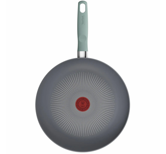 Tefal Kitchenware Сковорода Tefal Halo EUCALYPTUS, 28см, алюміній, бакеліт, сірий