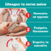 Pampers Підгузки Pampers Active Baby Pants Розмір 3 (6-11 кг) 180 шт (8006530305716)