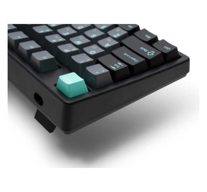 Thunderobot Клавіатура Thunderobot KG3089 Brown Switch USB UA (6932066305994)