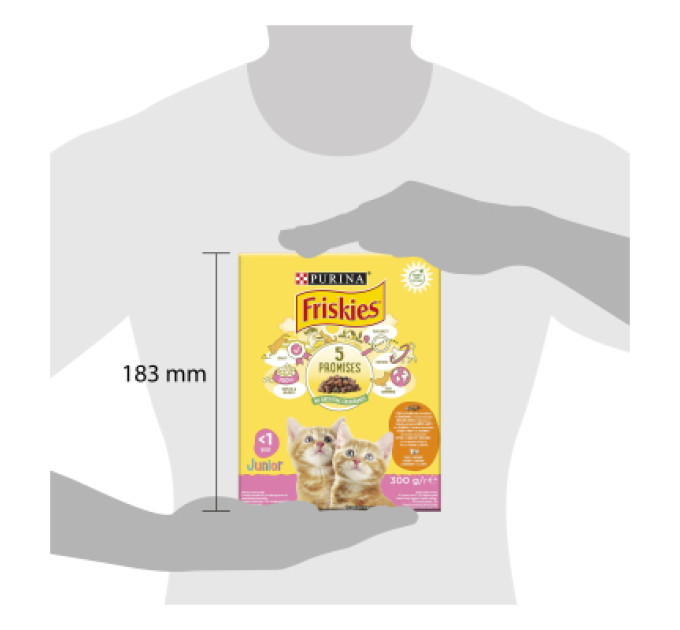 Purina Friskies Сухий корм для кішок Purina Friskies Junior з куркою, молоком і овочами 300 г (7613031868360)