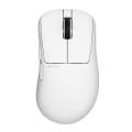 PULSAR Мишка Pulsar Xlite Crazylight Medium 8К Wireless White (PXLCL202)