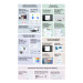 Oscal Планшет Oscal Pad 100 12.0" 6/256GB 4G (LTE) Sky Blue (6931548326335)