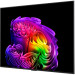 LG Телевізор LG OLED55G64LW