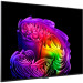 LG Телевізор LG OLED55G64LW