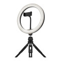 STREAMPLIFY Світлодіодна лампа Streamplify LIGHT 10-USB-TP